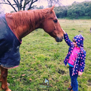 Photo by CAPE - ex-racehorse Remy giving some love to one of his smaller visitors