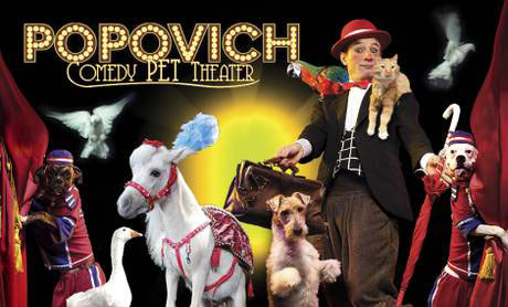 Get Ready to be Amazed by the World-Famous Popovich Comedy Pet Theater!